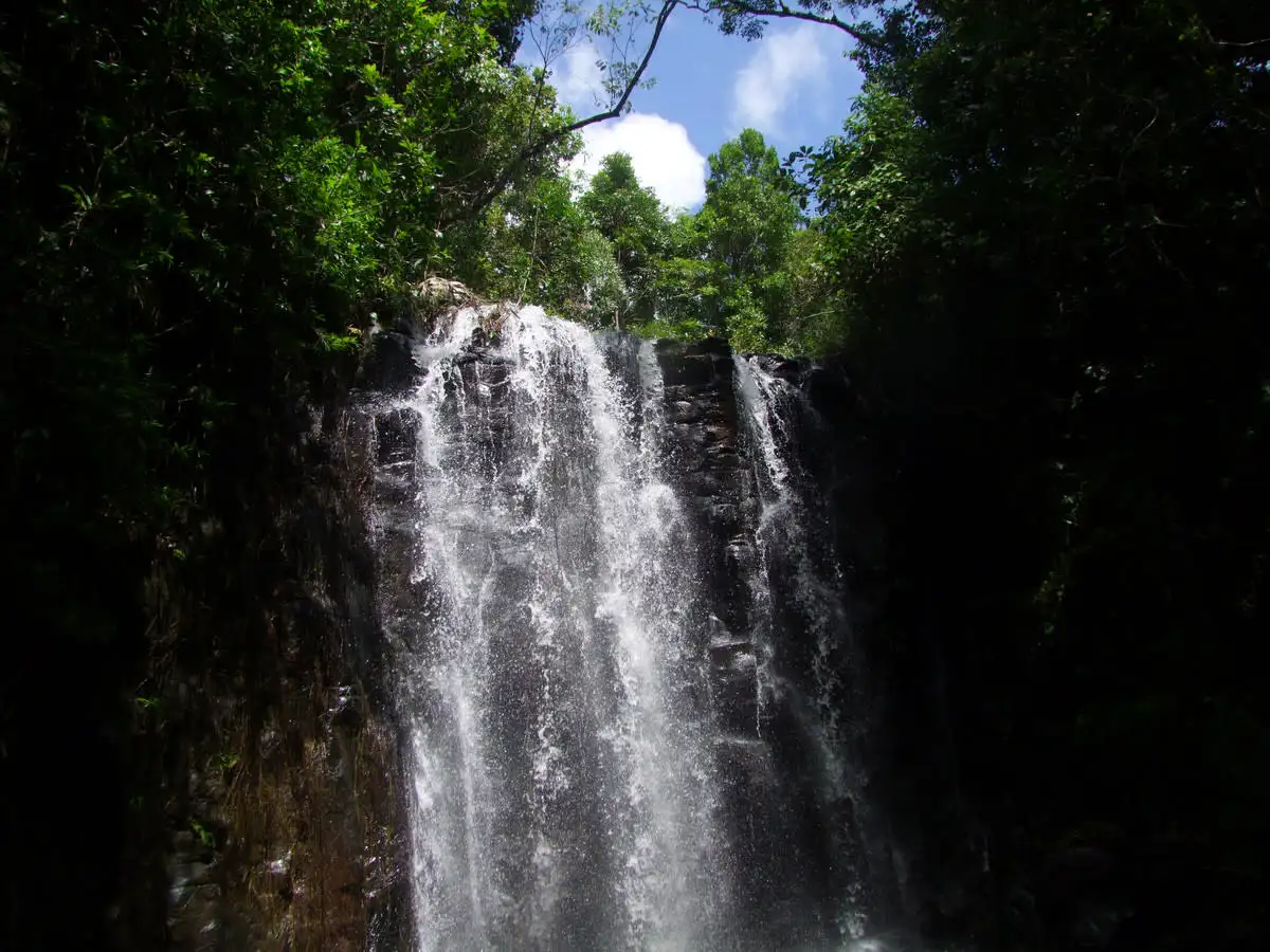 Main view of Homely rural property listing, Address available on request