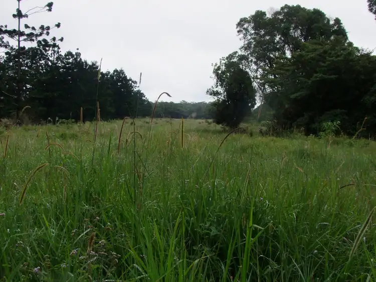 Third view of Homely rural property listing, Address available on request