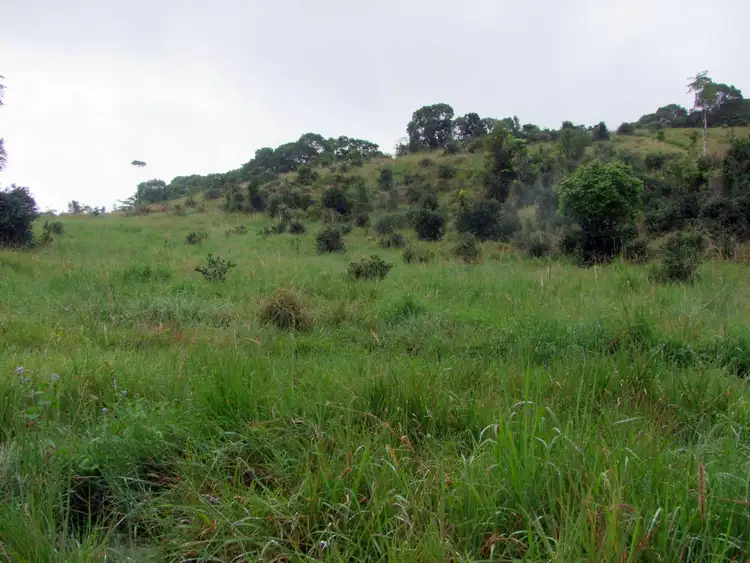 Fifth view of Homely rural property listing, Address available on request
