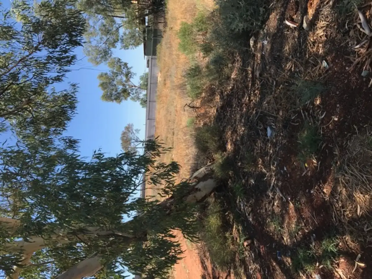 Main view of Homely land listing, 3 Tower Street, Leonora WA 6438