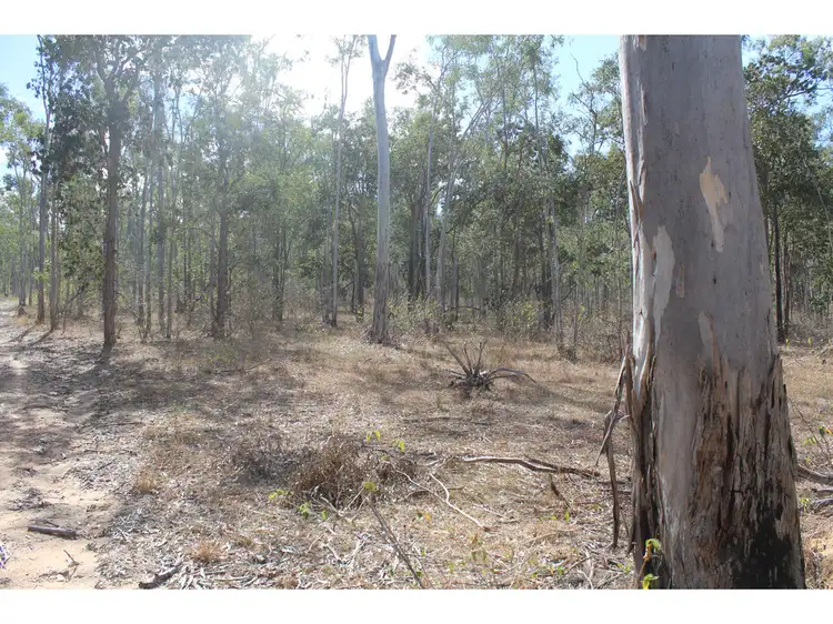 Fifth view of Homely rural property listing, LOT 84 Wallers Road, Ringwood QLD 4343