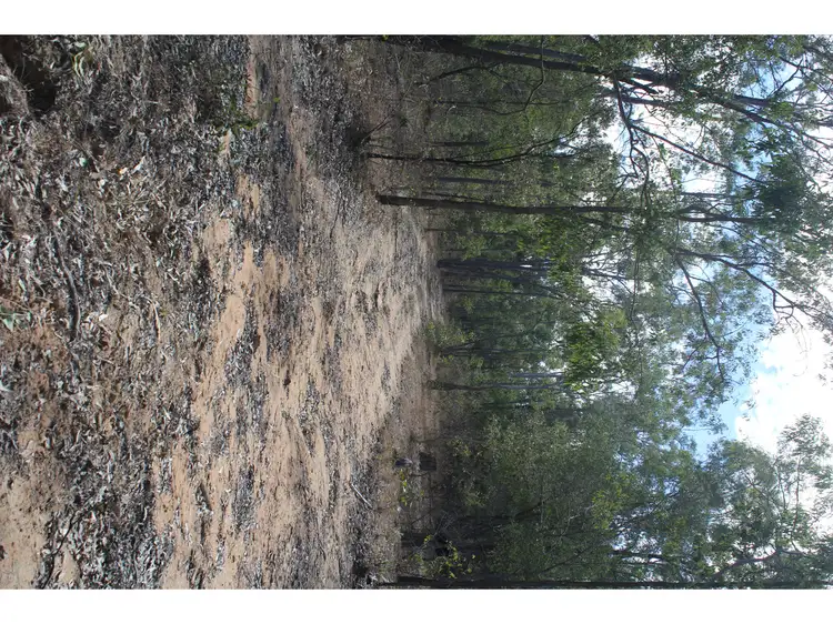 Seventh view of Homely rural property listing, LOT 84 Wallers Road, Ringwood QLD 4343