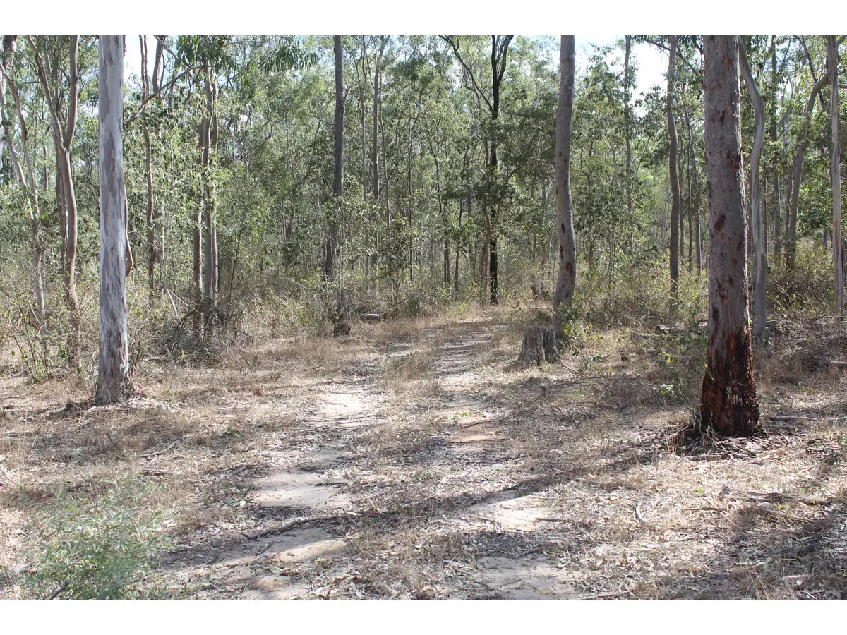 Main view of Homely rural property listing, LOT 85 Wallers Road, Ringwood QLD 4343