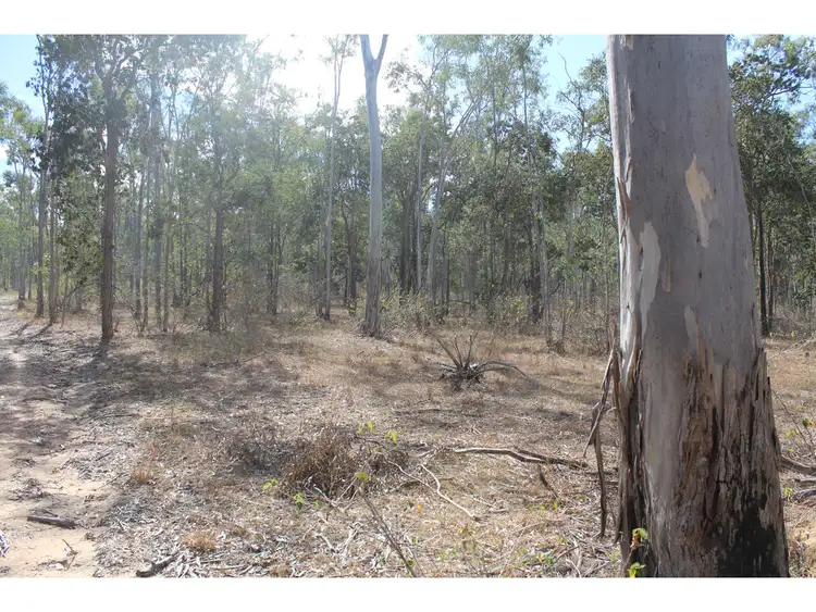 Fourth view of Homely rural property listing, LOT 85 Wallers Road, Ringwood QLD 4343