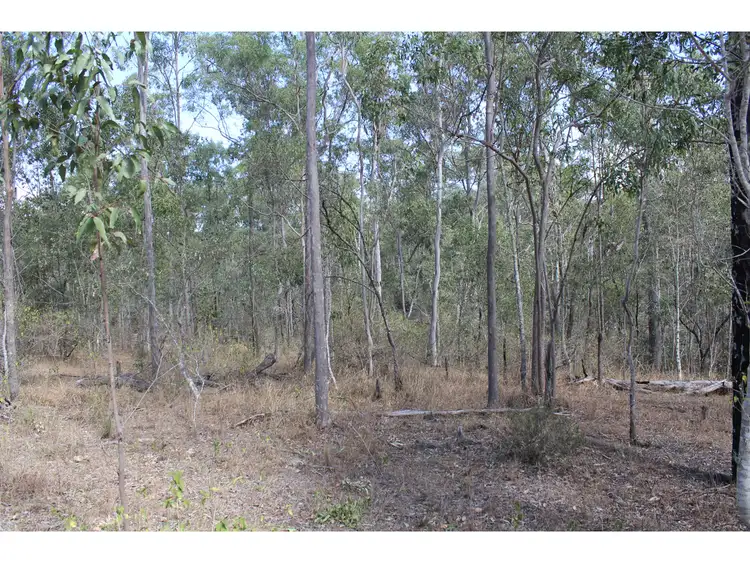 Seventh view of Homely rural property listing, LOT 85 Wallers Road, Ringwood QLD 4343