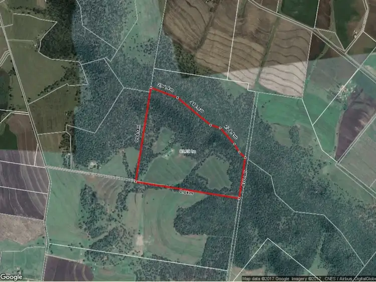 Third view of Homely rural property listing, 97 Larsen Road, Pilton QLD 4361