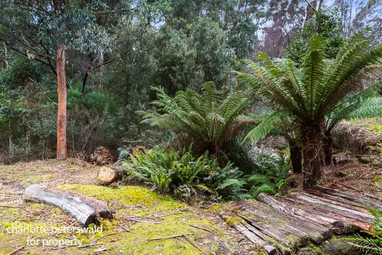 326 Strickland Avenue, South Hobart TAS 7004