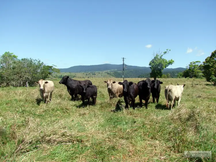 Fifth view of Homely land listing, Address available on request