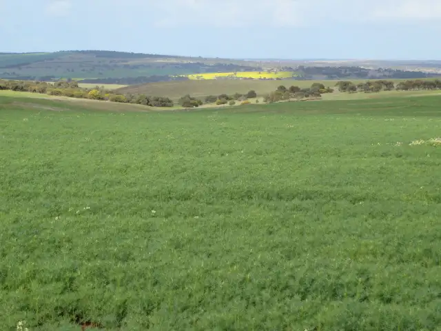 Second view of Homely rural property listing, 124 St. Ives Road, Woodchester SA 5255