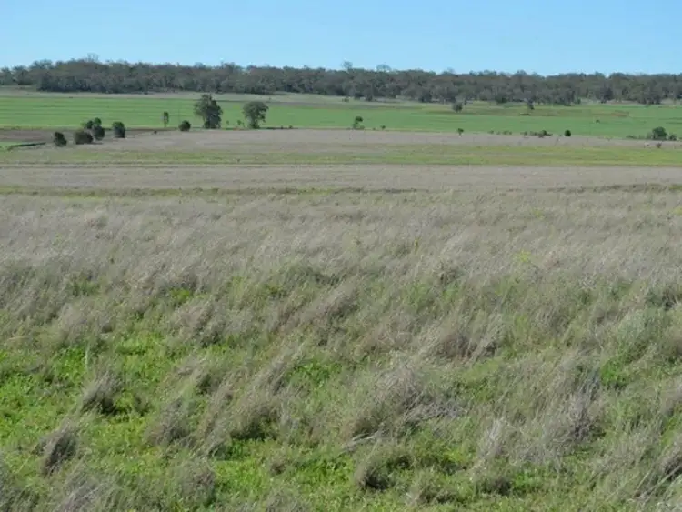 Seventh view of Homely rural property listing, 104 Ted Mengel Road, Nobby QLD 4360