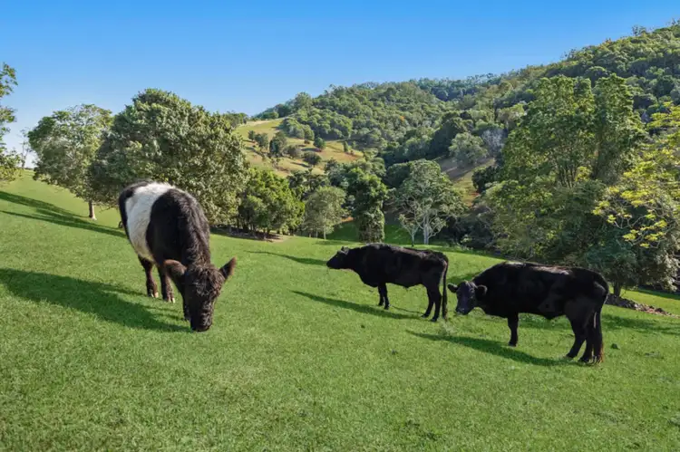 Third view of Homely rural property listing, 171 Hansen Road, Yugar QLD 4520