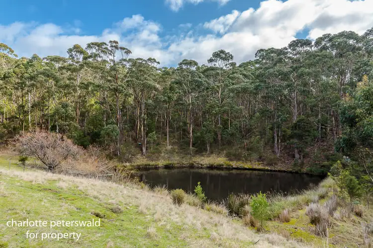 Sixth view of Homely rural property listing, 236 Tinderbox Road, Tinderbox TAS 7054