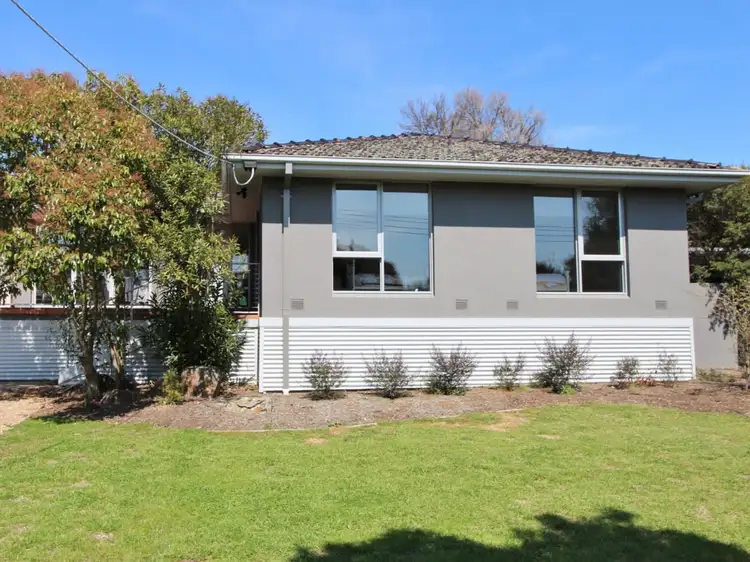 Main view of Homely house listing, 16 Cricket Street, Mansfield VIC 3722