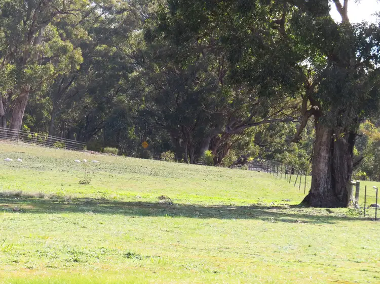 Seventh view of Homely land listing, LOT CA27 Mt Camel-Graytown Road, Heathcote VIC 3523