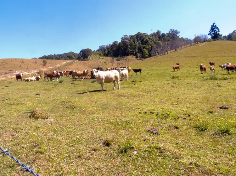 Fourth view of Homely rural property listing, 69 Blakeneys Road, Stokers Siding NSW 2484
