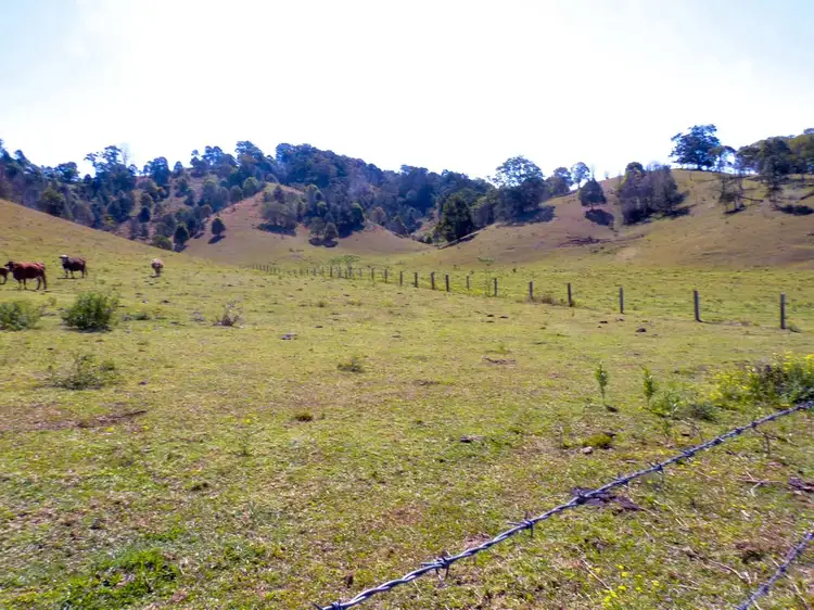 Fifth view of Homely rural property listing, 69 Blakeneys Road, Stokers Siding NSW 2484