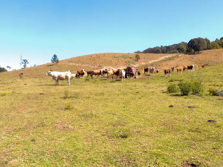 Seventh view of Homely rural property listing, 69 Blakeneys Road, Stokers Siding NSW 2484
