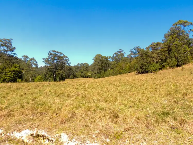 Main view of Homely land listing, 309 Tunnel Road, Stokers Siding NSW 2484