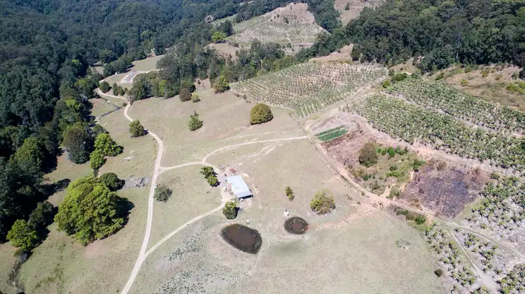 Second view of Homely land listing, 309 Tunnel Road, Stokers Siding NSW 2484