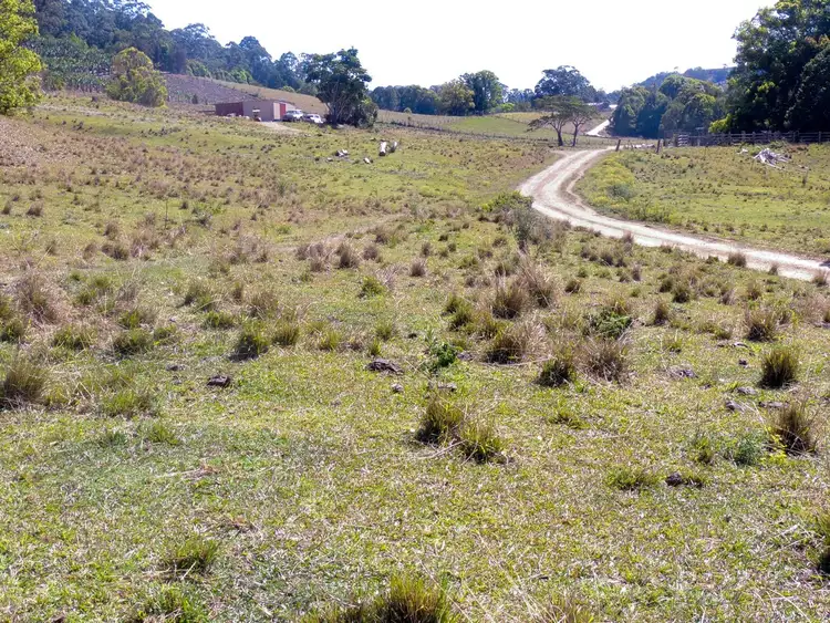Fifth view of Homely land listing, 309 Tunnel Road, Stokers Siding NSW 2484