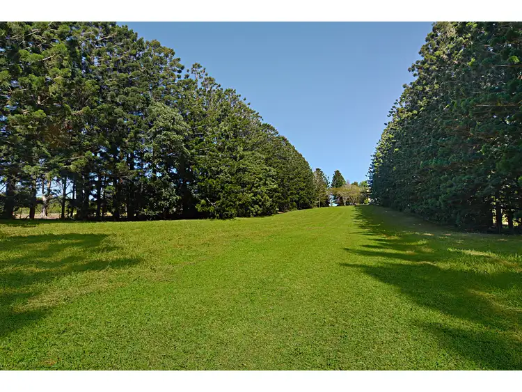 204 Mountain View Road, Maleny QLD 4552