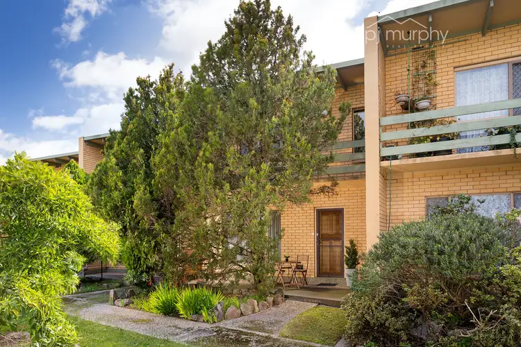 Second view of Homely unit listing, 7/74 South Street, Wodonga VIC 3690