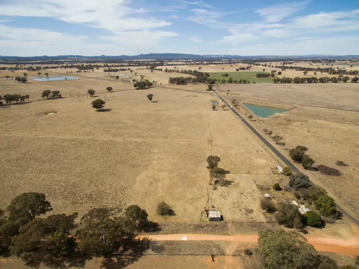 Main view of Homely rural property listing, 41 Spring Creek Road, Gulgong NSW 2852