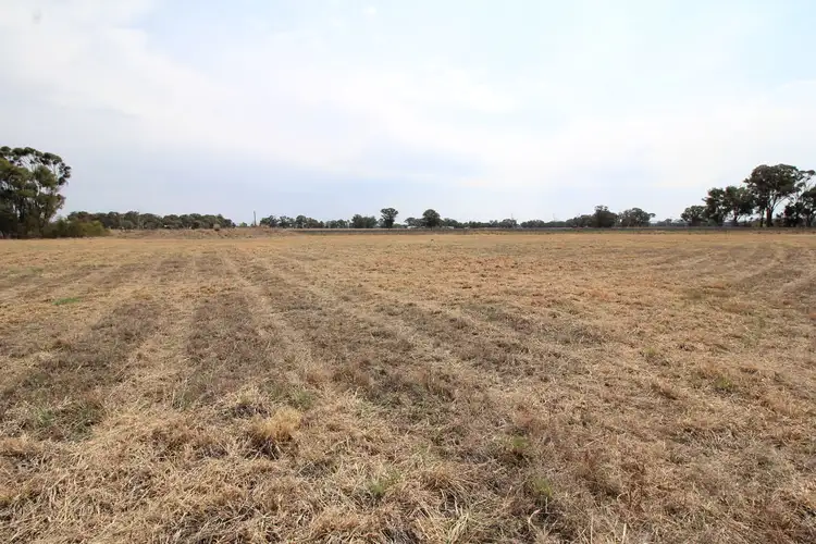 Fourth view of Homely rural property listing, 41 Spring Creek Road, Gulgong NSW 2852