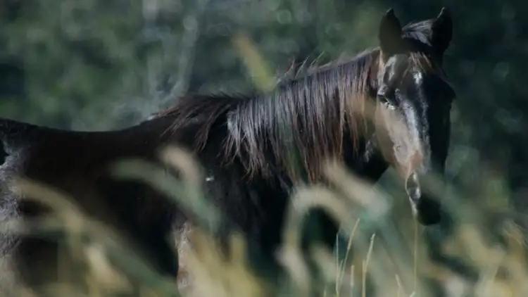 Seventh view of Homely land listing, 68 Countryview Street, Kingsholme QLD 4208