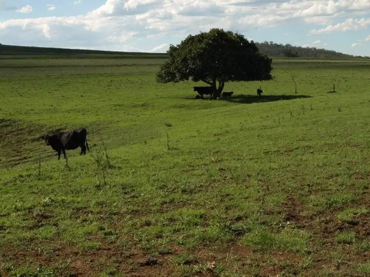 Lot 37 and 39 Lorenz Road, Clifton QLD 4361