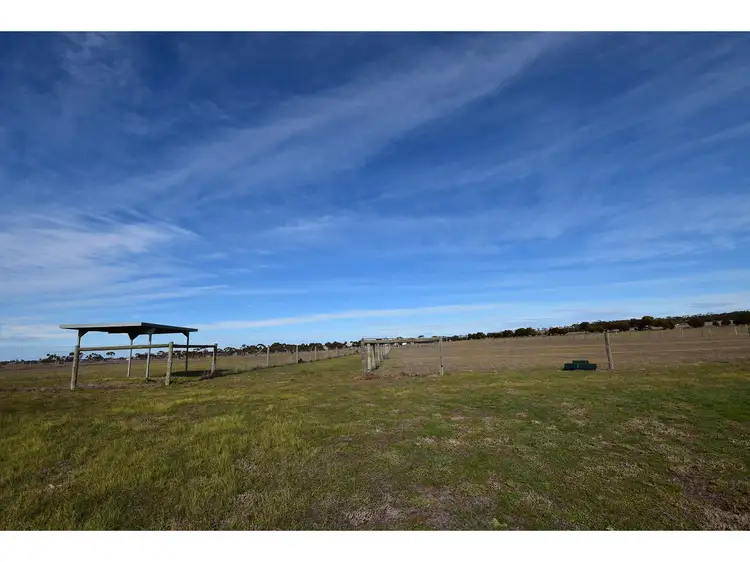 Fifth view of Homely rural property listing, 534 Reedy Creek Road, Murray Bridge SA 5253