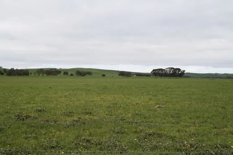 540 Lower Hilgay Road, Coleraine VIC 3315