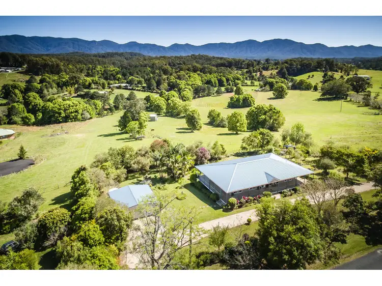 81 North Bank Road, Bellingen NSW 2454