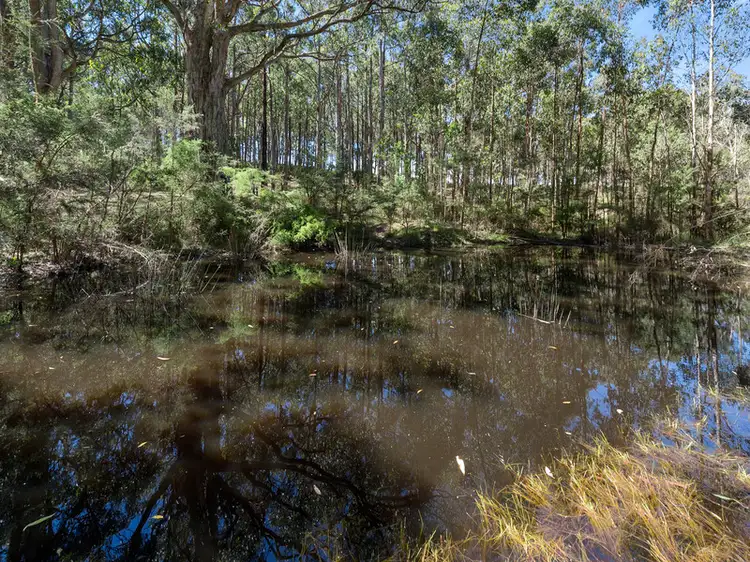 Fourth view of Homely house listing, 170 Bushbys Road, Barongarook VIC 3249
