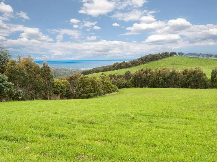 381 Blue Johanna Road, Johanna VIC 3238