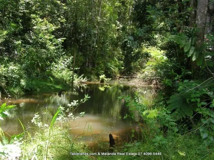 Second view of Homely rural property listing, LS350/100 Arthur Baillie Road, Ravenshoe QLD 4888