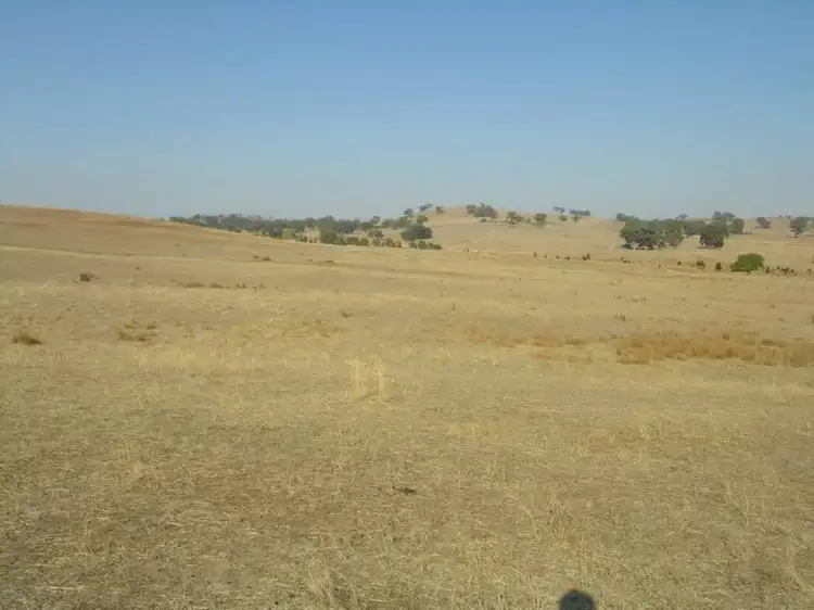 Fourth view of Homely rural property listing, 323 Howes Creek Road, Mansfield VIC 3722