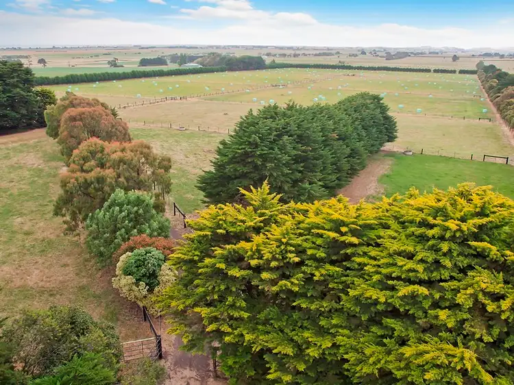 Third view of Homely rural property listing, 830 Princess Highway, Larpent VIC 3249