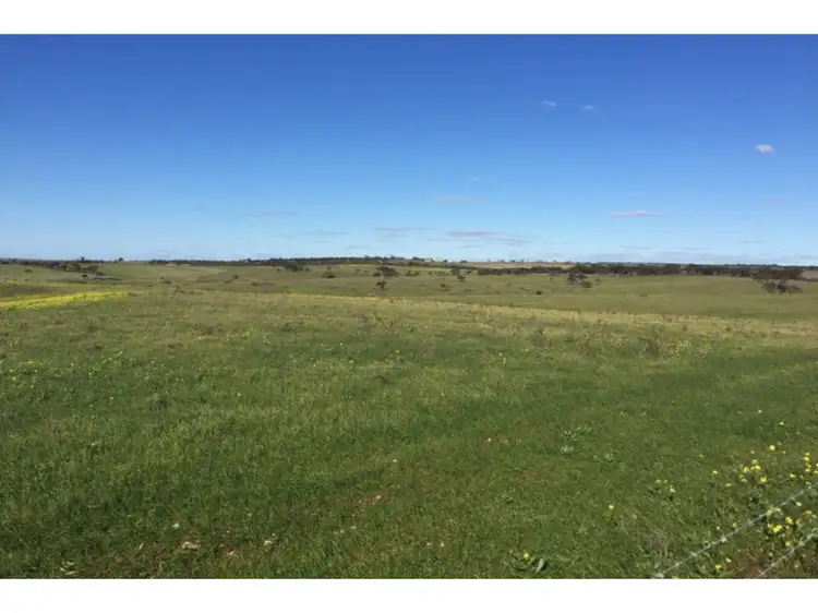 Fourth view of Homely rural property listing, 57, LOT 57 Caloote Road, Caloote SA 5254