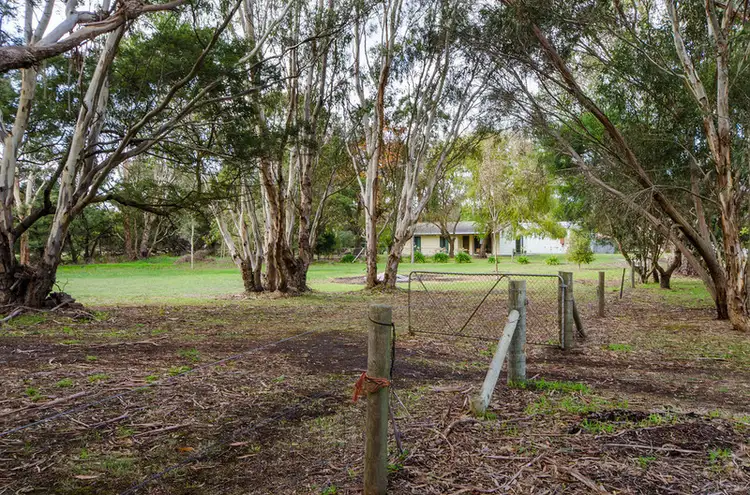 Fifth view of Homely rural property listing, 33 Riddoch Highway, Tarpeena SA 5277