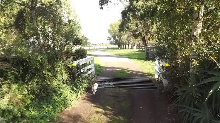 Seventh view of Homely rural property listing, 625 Grinters Lane, Kolora VIC 3265