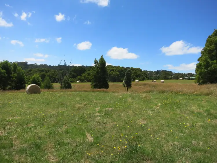 Second view of Homely land listing, 60 Dehnerts Track, Beech Forest VIC 3237