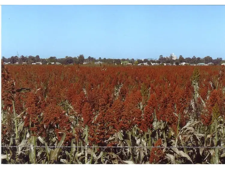 Third view of Homely rural property listing, L233 Clifton-Kings Creek Road, Clifton QLD 4361