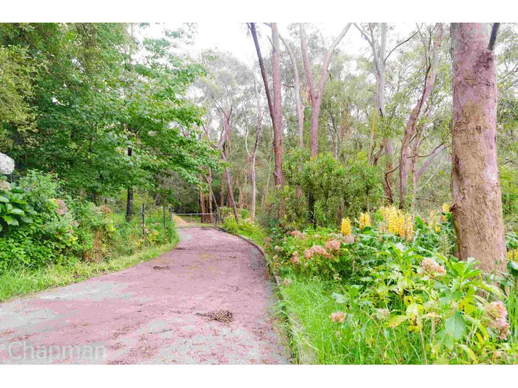 Fifth view of Homely land listing, 40A Mount View Avenue, Hazelbrook NSW 2779