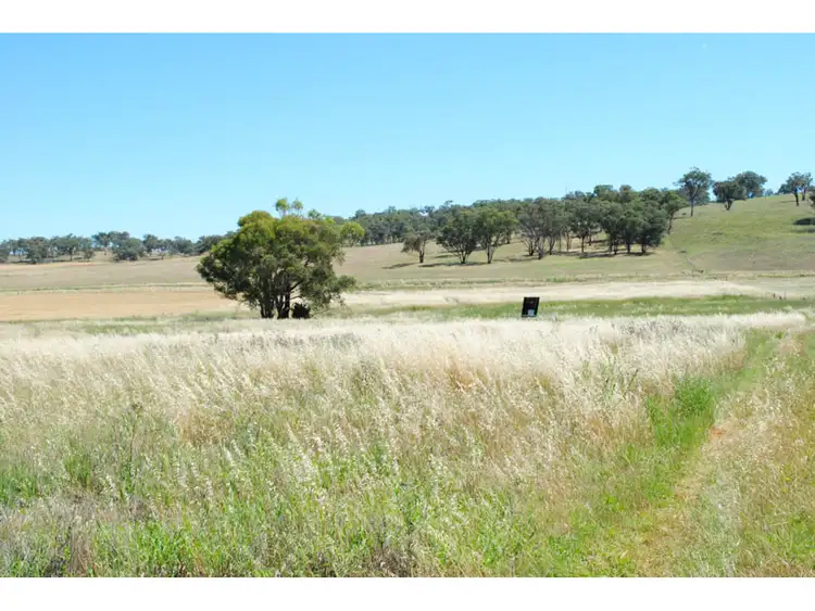 Sixth view of Homely rural property listing, 4096 Henry Parkes Way, Manildra NSW 2865