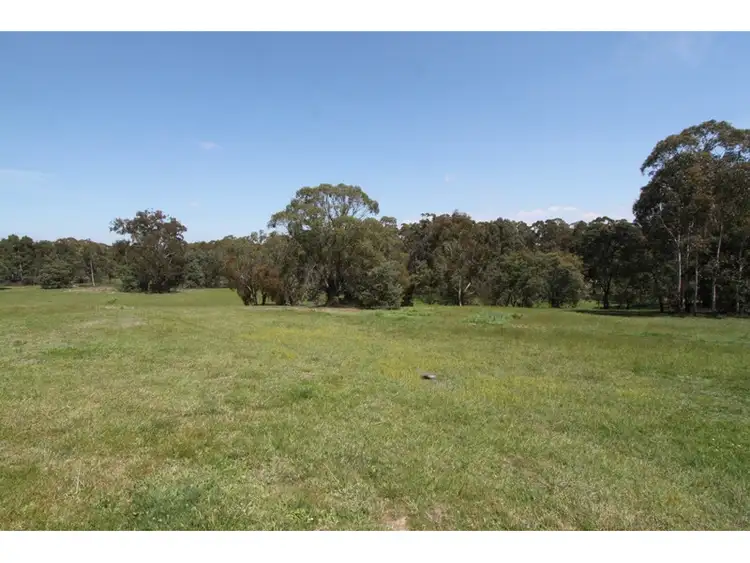 Seventh view of Homely rural property listing, 99 Molybdonite Road, Yetholme NSW 2795