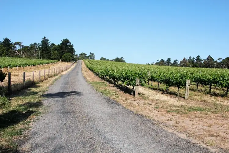 Third view of Homely rural property listing, 147 Foggo Road, Mclaren Flat SA 5171