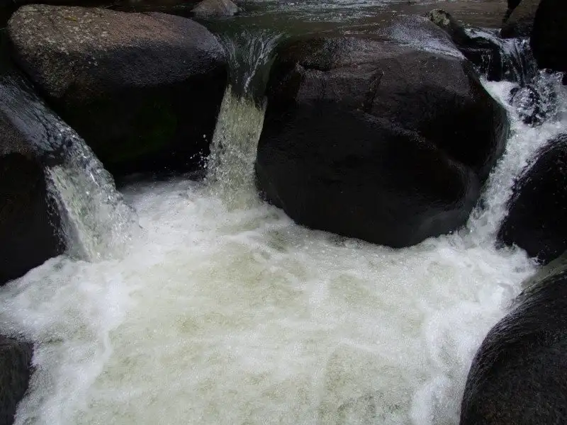 Main view of Homely rural property listing, L742 Lot 364, RN529 Middlebrook Road, Millaa Millaa QLD 4886