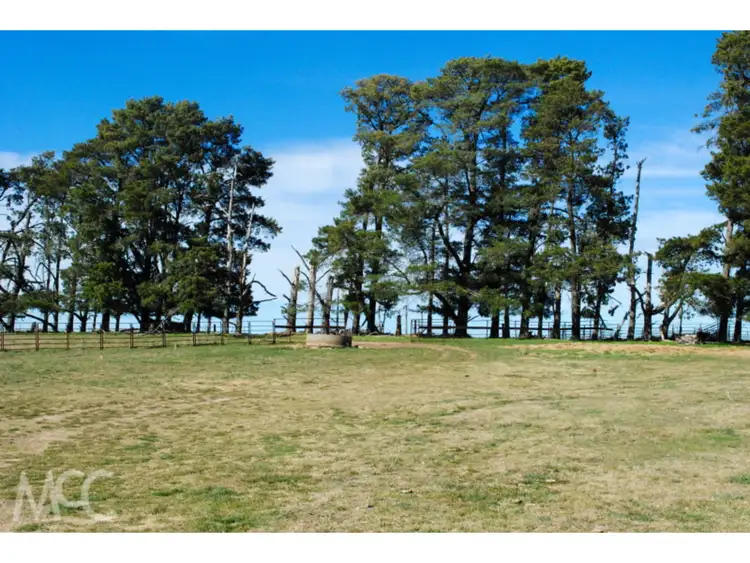 Fourth view of Homely rural property listing, 90 Tallwood Road, Millthorpe NSW 2798