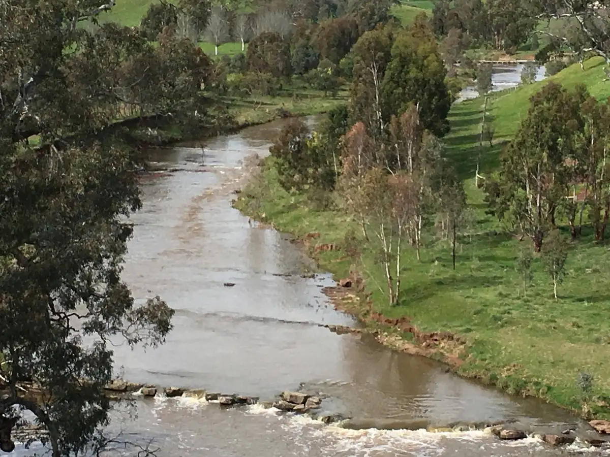 Main view of Homely rural property listing, 143 Shamrock Lane, Mansfield VIC 3722